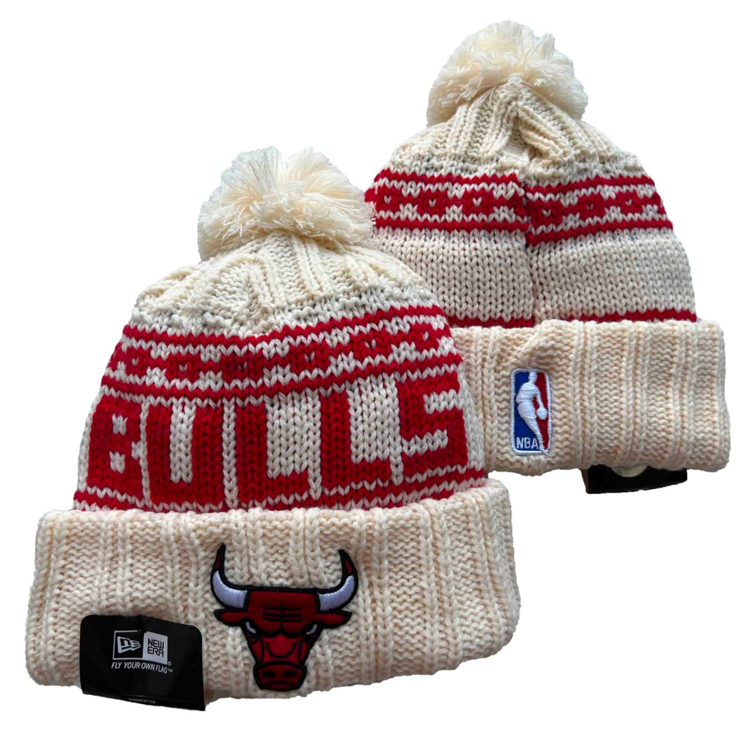 Bulls New era beanie